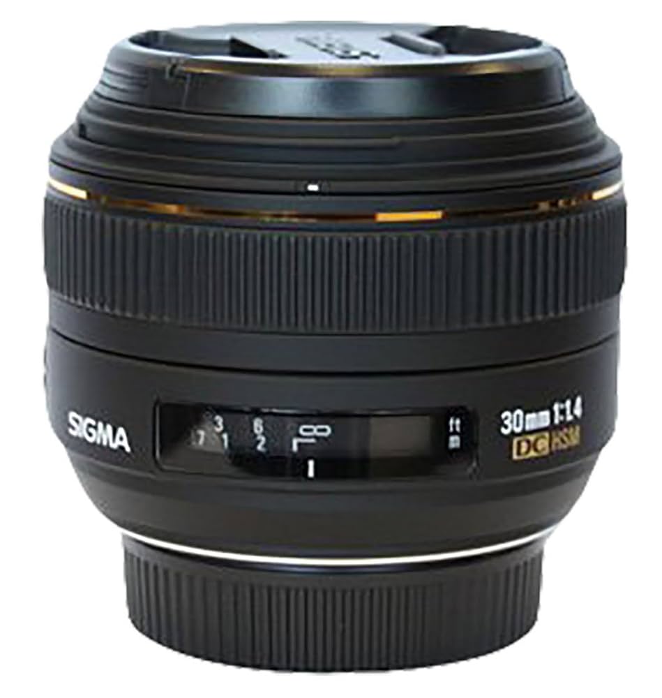 光学美品 SIGMA 30mm F1.4 DC Art Nikon 元箱付き 【公式通販】