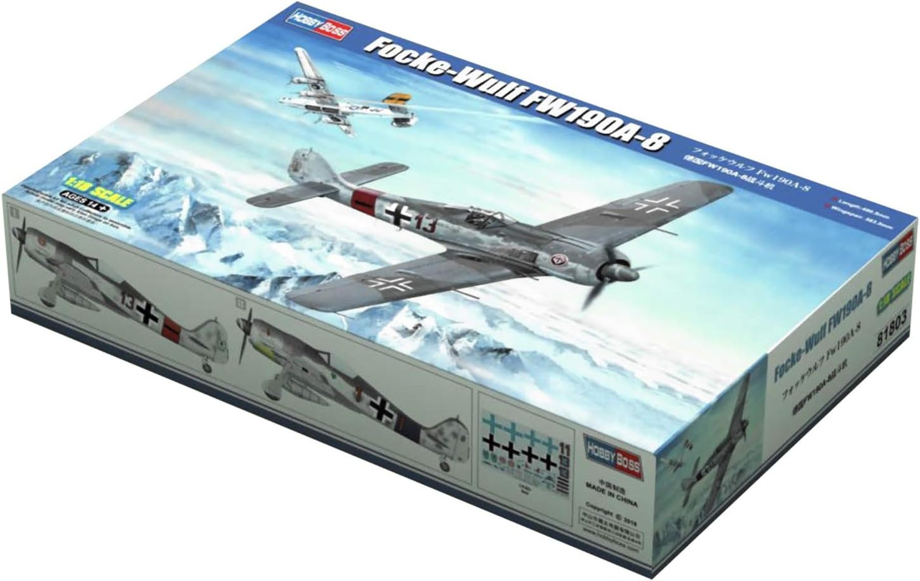 Amazon.com: Hobby Boss 81803 1/18 Big Scale Aircraft Series German