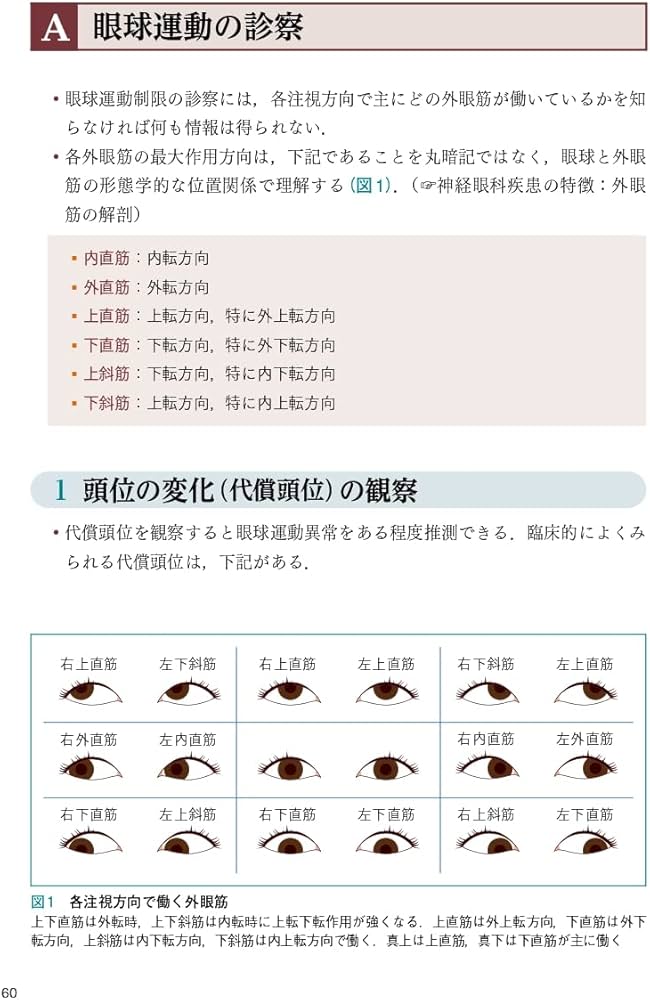 神経眼科診療のてびき 第3版: 病歴と診察から導く鑑別疾患 | 石川 弘