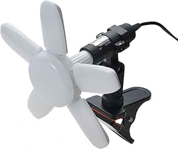 61v5YHTwdWL._AC_UF350,