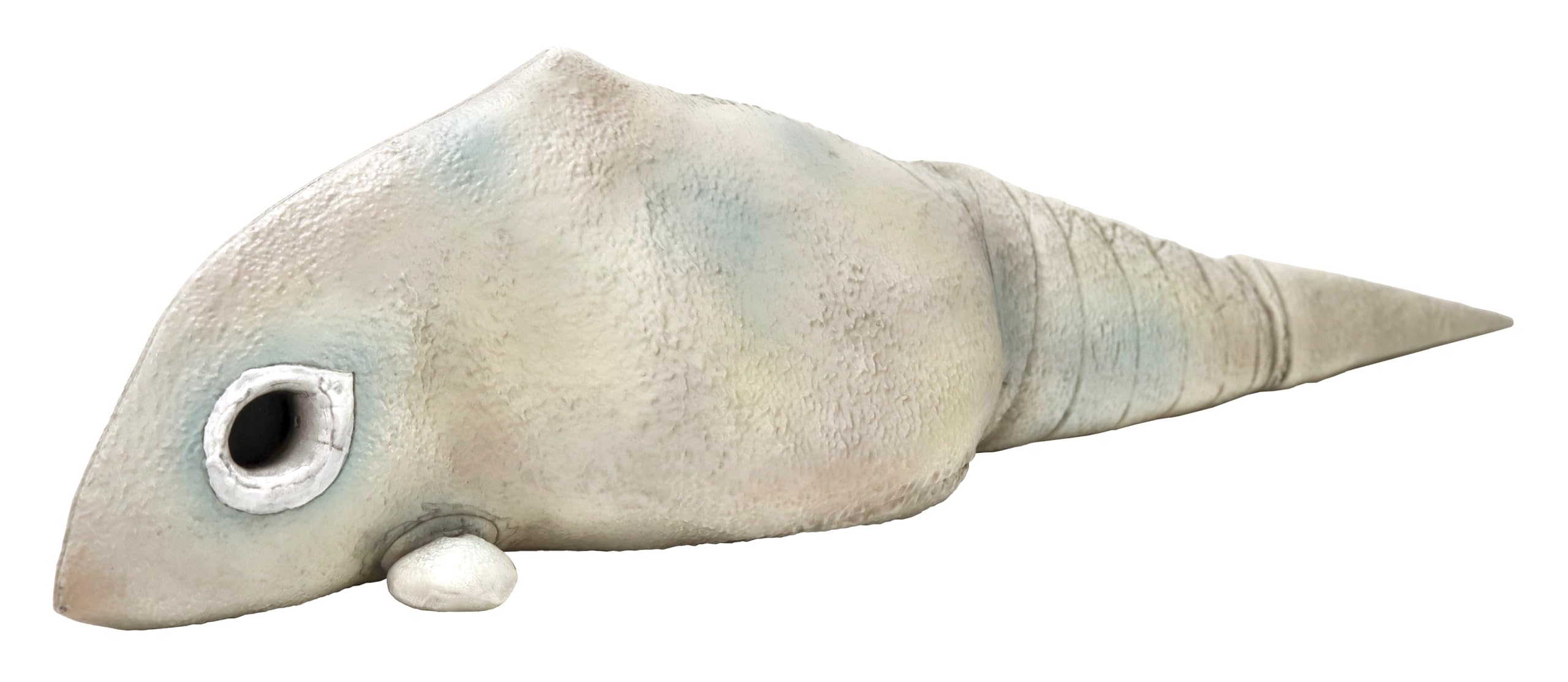 Amazon.co.jp: キャラクターコンテンツプロダクション(Ccp) 1/6特撮