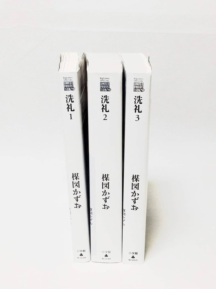 Amazon.co.jp: 洗礼 コミック 1-3巻セット (ビッグコミックス