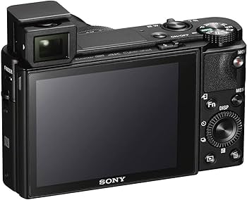 Amazon.com : Sony Cyber-Shot DSC-RX100 VA Digital Camera (DSC