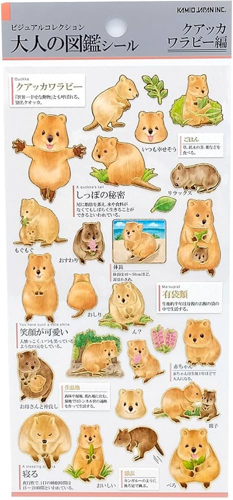 Amazon.co.jp: カミオジャパン シール 大人の図鑑シール クアッカ