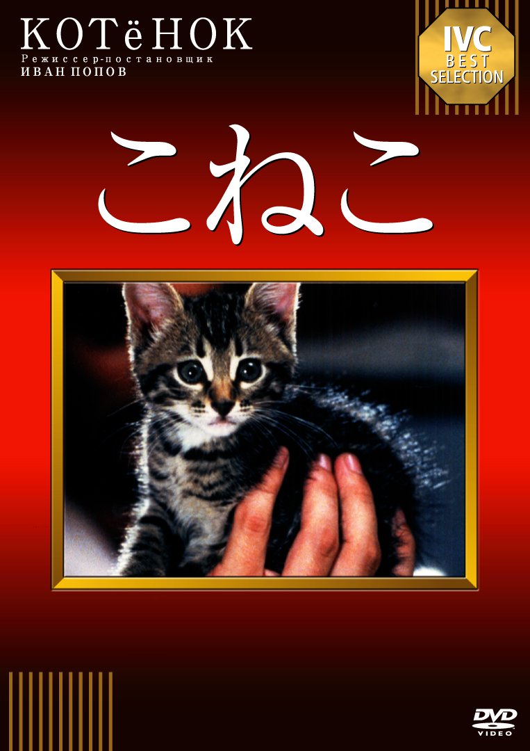Amazon.co.jp: こねこ [DVD] : アンドレイ・クズネツォフ