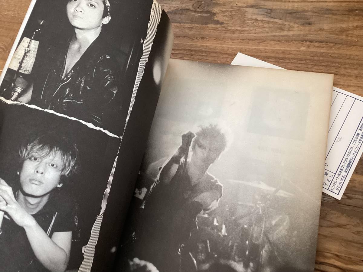 Amazon.co.jp: 楽譜/スターリン/虫＋Go Goスターリン/タブ譜/バンド