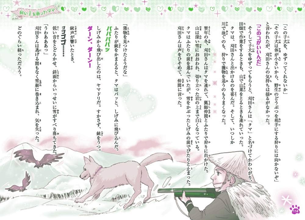 Amazon.co.jp: ミラクルラブリー 感動のどうぶつ物語 命の輝き : 青空