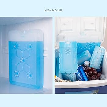 Amazon.co.jp: アイスボックス 冷凍 氷嚢 クーラーボックス 冷蔵庫