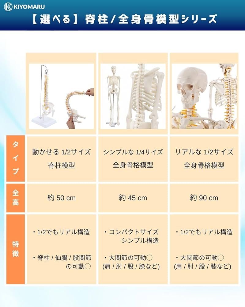 Amazon.co.jp: KIYOMARU 1/2サイズなのに高精度かつグニャと背骨を