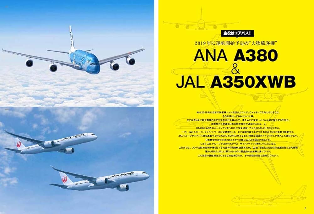 Amazon.co.jp: 日本の旅客機2018-2019 (イカロス・ムック) : 本