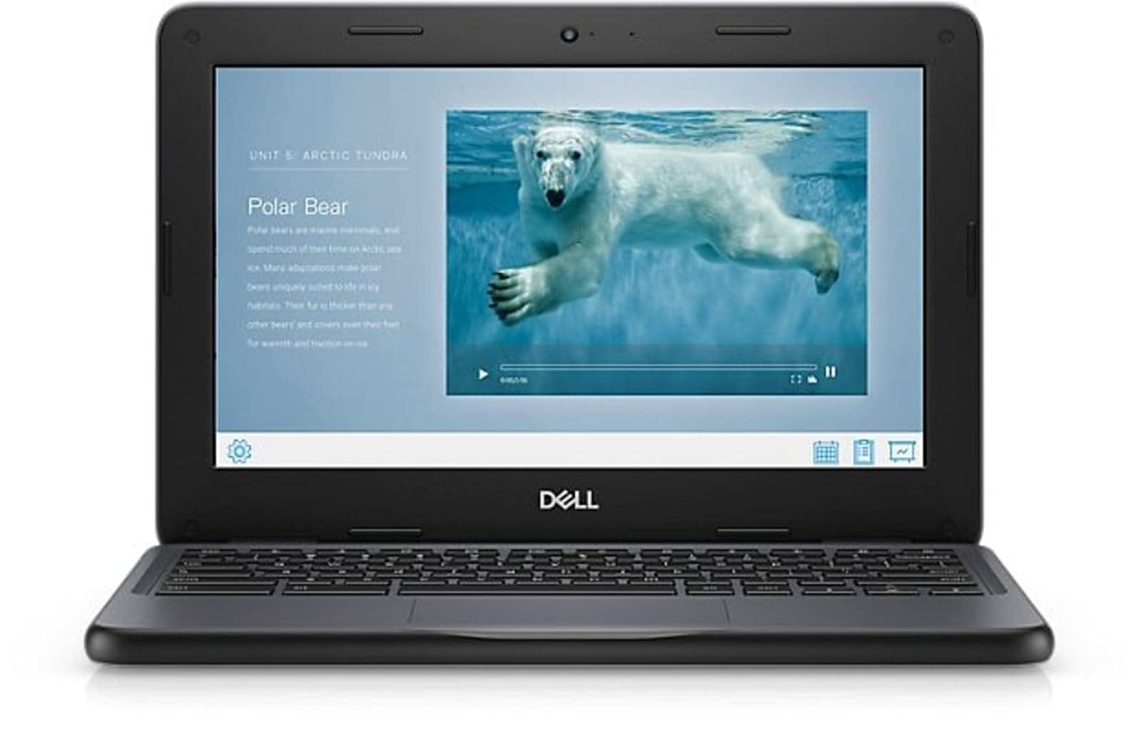 Amazon.co.jp: Dell Chromebook 3100-11.6インチ - Celeron N4020-4GB