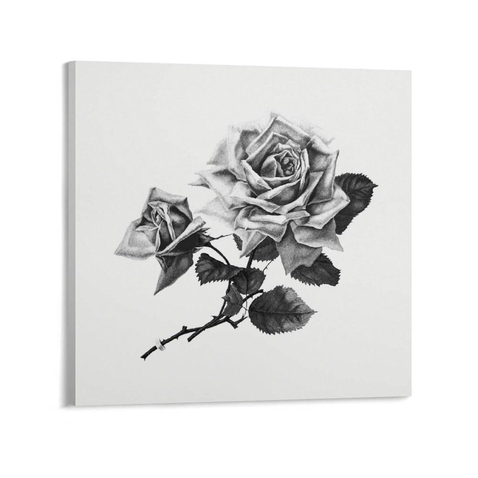 Amazon.co.jp: 絵画 黒と白のバラインテリア 絵画 超リアルなイラスト