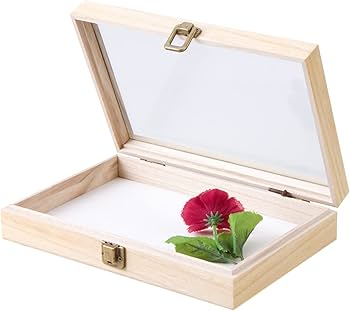Amazon.co.jp: 標本箱無垢材透明昆虫植物蝶標本箱標本用品木箱ガラス面