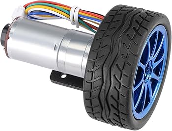 Amazon.com: DC12V 30RPM Magnetic Encoder Gear Motor with Mounting