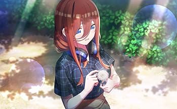 Amazon.co.jp: 五等分の花嫁∬ ~夏の思い出も五等分~ 限定版【同梱特典