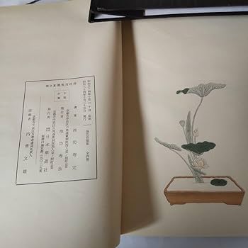 Amazon.co.jp: 挿花百規 全（春・夏・秋・冬）池坊専定 選 日本華道社