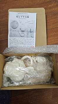 Amazon.co.jp: 1/6 死なず半兵衛 JETBOY 隻狼 SEKIRO ガレージキット