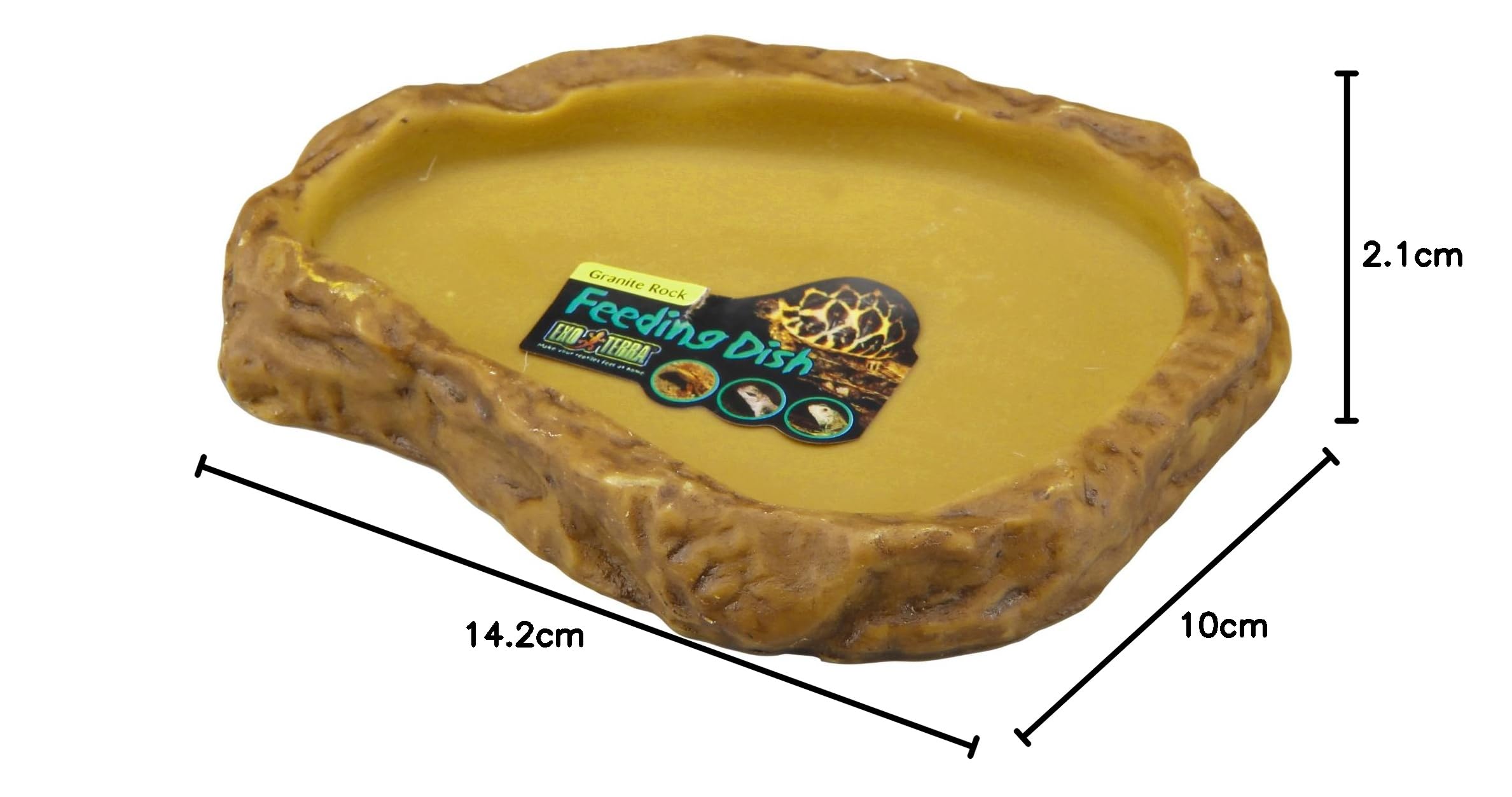 Amazon.co.jp: EXO TERRA (エキゾテラ) フィーディングディッシュS