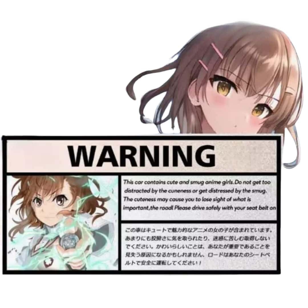 Amazon.co.jp: とある科学の超電磁砲 車ステッカー 反射ステッカー