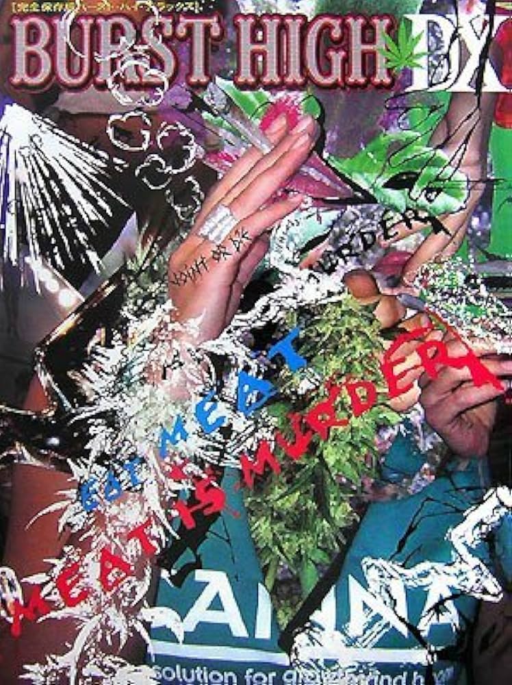 BURST HIGH デラックス |本 | 通販 | Amazon