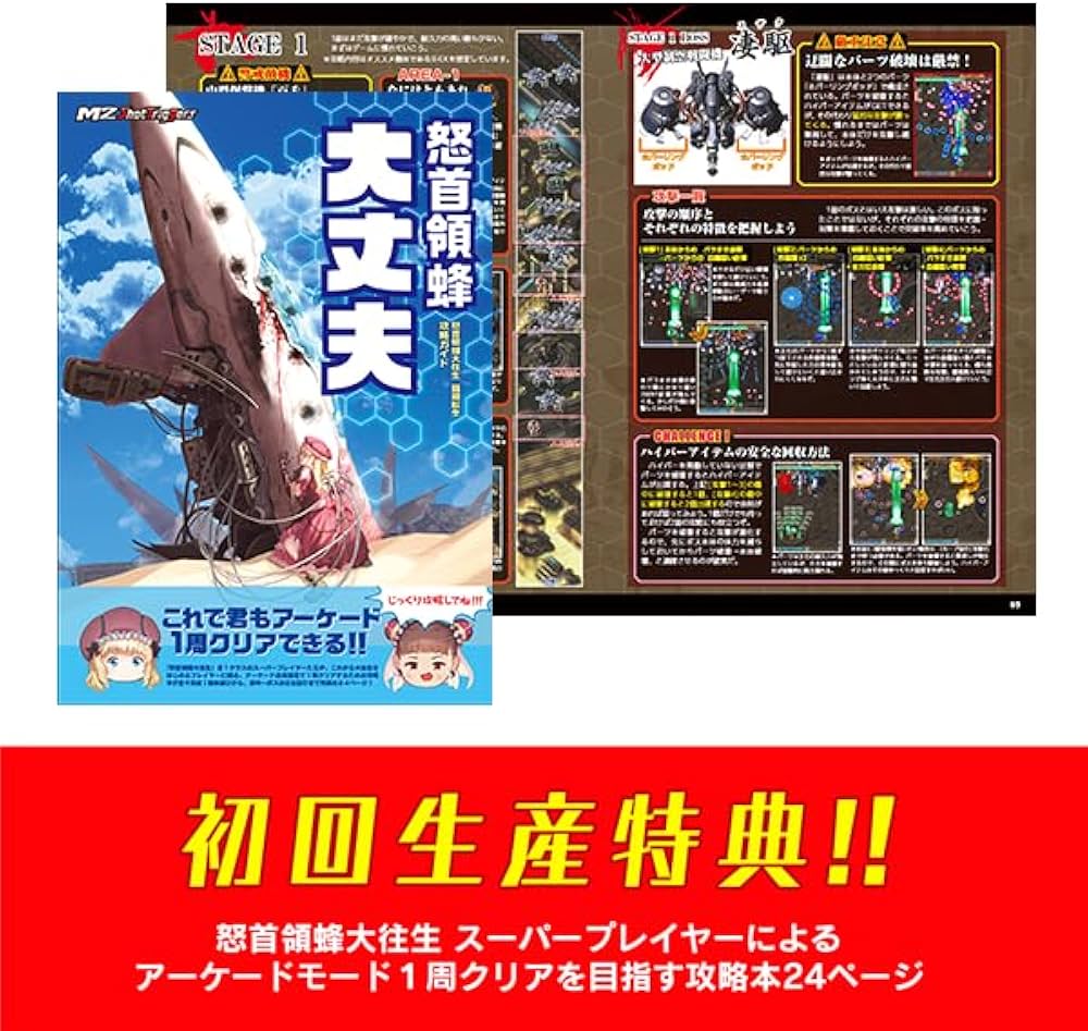 Amazon.co.jp: 怒首領蜂大往生 臨廻転生- Switch : ゲーム