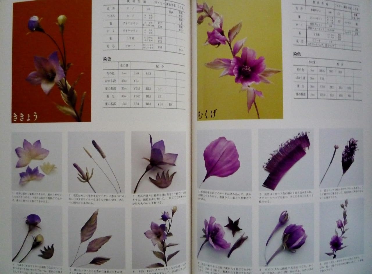 Amazon.co.jp: 安田 早葉子: 本、バイオグラフィー、最新アップデート