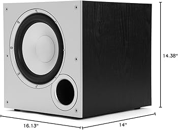Amazon.com: Polk Audio PSW10 10