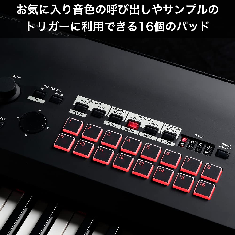 Amazon.co.jp: KORG コルグ キーボード シンセサイザー ステージ
