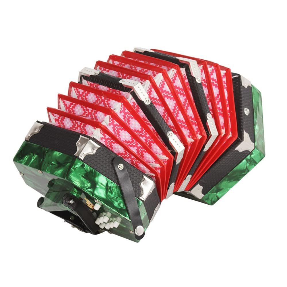 Amazon | 20ボタンアコーディオンコンサーティーナ、学びやすい音楽