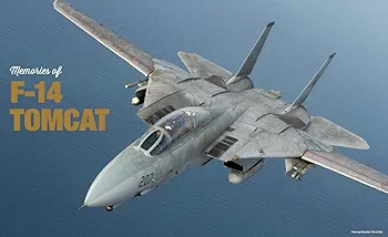 Amazon.co.jp: F-14 トムキャット (世界の名機シリーズSE スペシャル