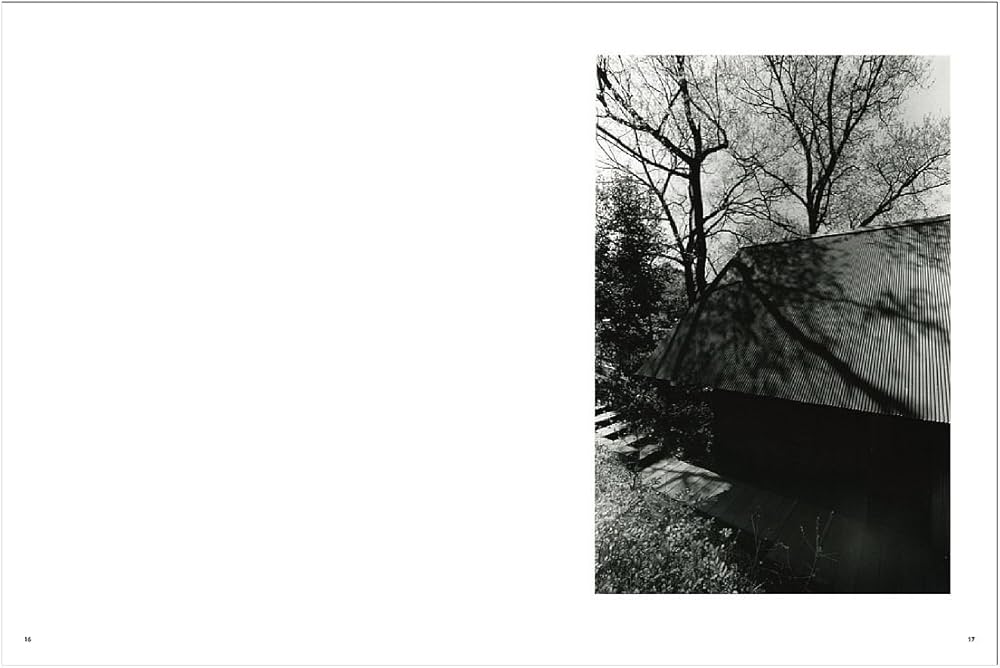 Amazon.co.jp: Visible Invisible : 宇野 友明, 西澤 豊: 本