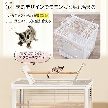 Amazon | フクロモモンガ アクリルケージ クリアフロント 590high