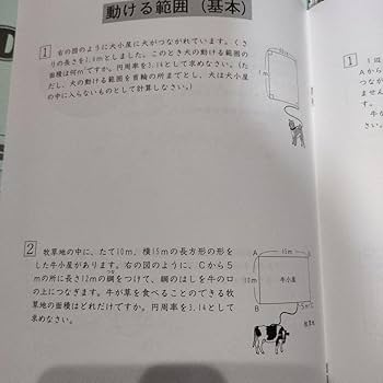 Amazon.co.jp: SAPIX デイリーサピックス 小学6年 算数 全38冊 : おもちゃ
