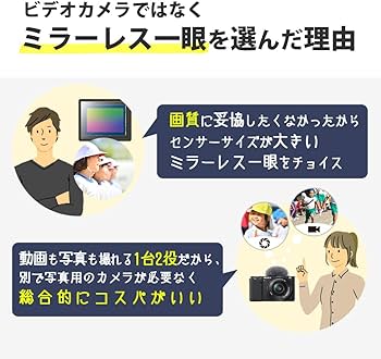 Amazon.co.jp: SONY ビデオカメラ Handycam SR11 内蔵ハードディスク