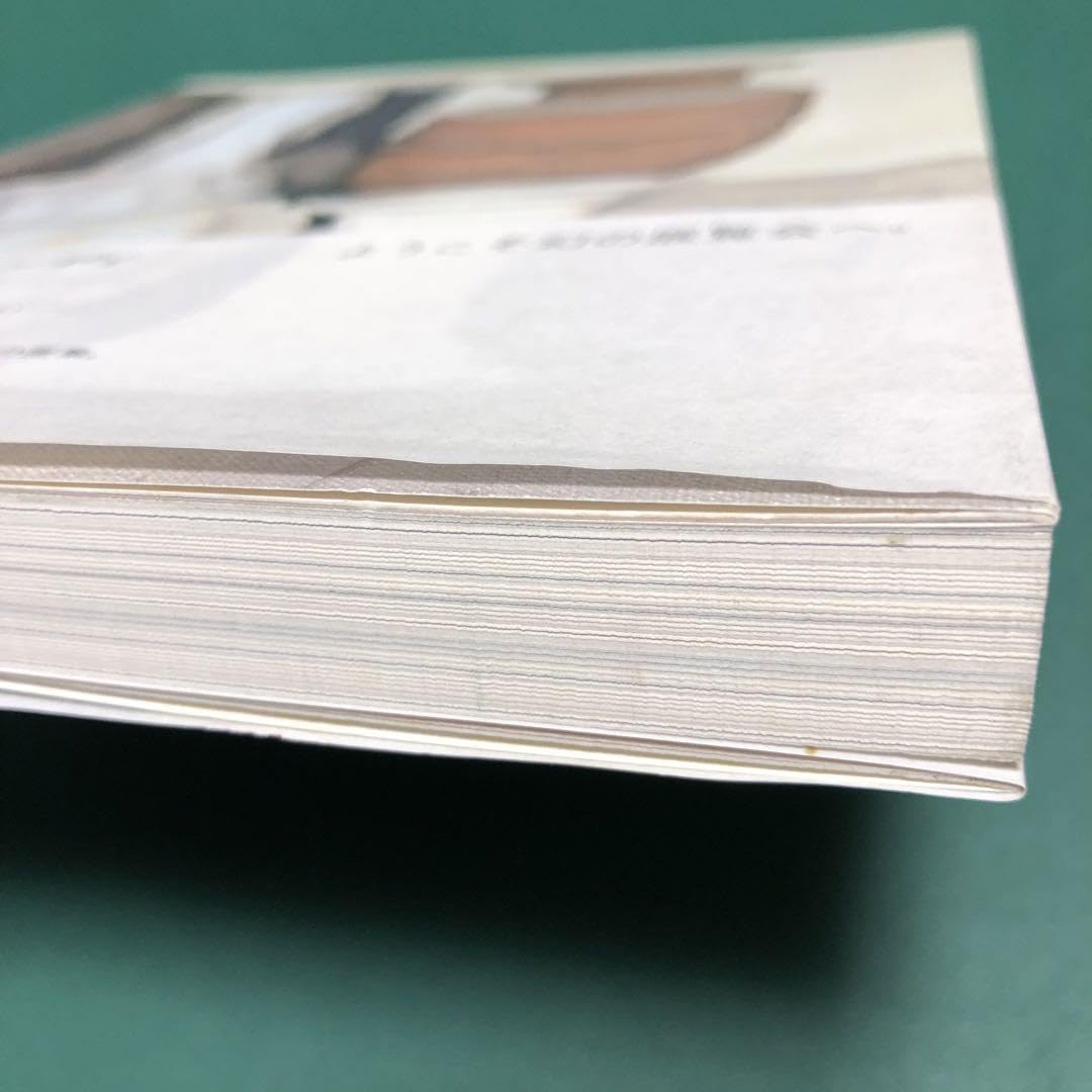 Amazon.co.jp: 絶版本ジョルジョ モランディ Giorgio Morandi 画集