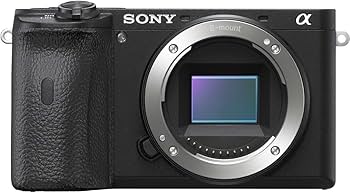 Amazon | 【整備済み品】 ソニー SONY ミラーレス一眼 α6600 ボディ