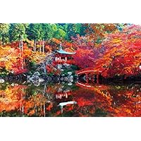 Amazon | エポック社 500ピース ジグソーパズル 日本風景 瑠璃光院の