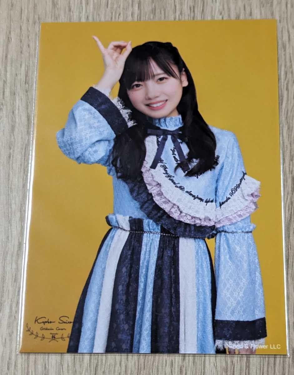 Amazon.co.jp: 元日向坂46 齊藤京子 卒コングッズ生写真 過去衣装