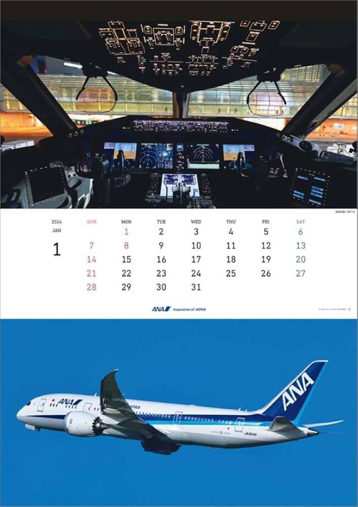 Amazon.co.jp: 全日空商事(All Nippon Airways Trading) ANA「THE