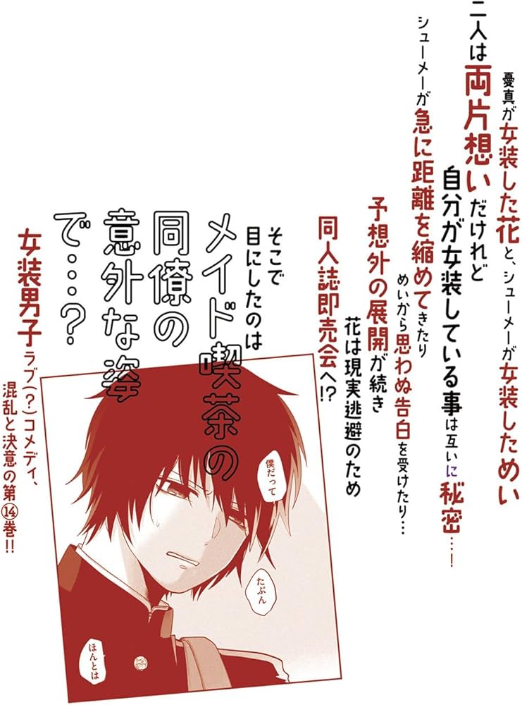 女装してめんどくさい事になってるネクラとヤンキーの両片想い 14