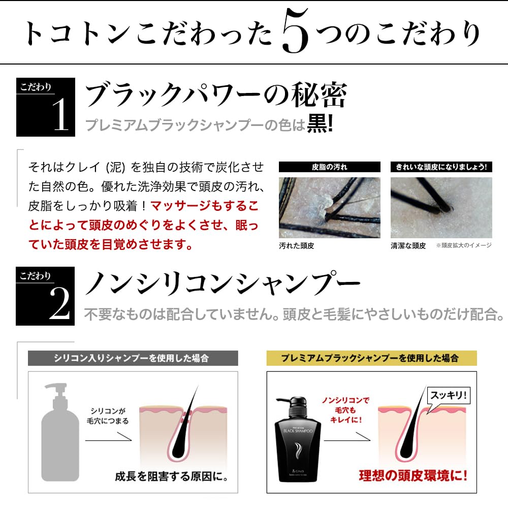 Amazon | &GINO 頭皮ケア プレミアムブラックシャンプー 400ml