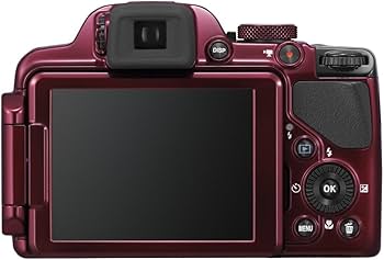 Amazon.com : Nikon COOLPIX P520 18.1 MP CMOS Digital Camera with