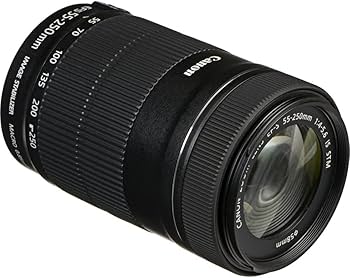 Amazon.com : Canon EF-S 55-250mm f/4-5.6 is STM Lens (8546B002) +