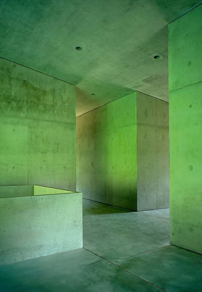 Amazon | Built | Olgiati, Valerio | Individual Architects & Firms