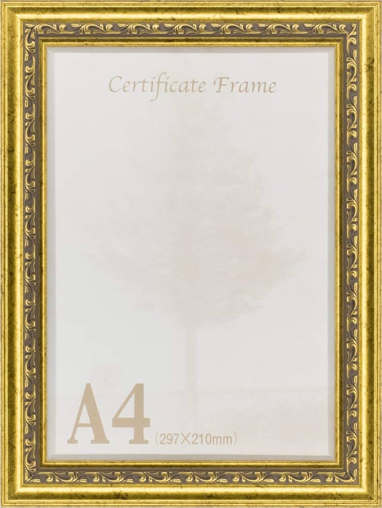 Amazon.co.jp: A4用紙フレーム 9011N UVカットアクリル仕様 壁用フック