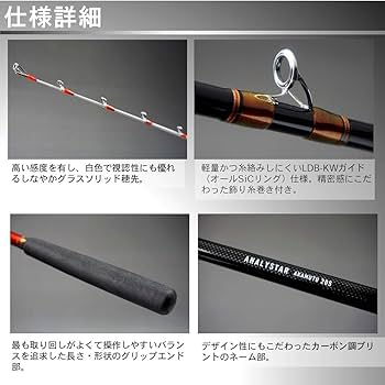 Amazon | ダイワ(DAIWA) 船竿 アナリスター赤ムツ 205 釣り竿 | ダイワ
