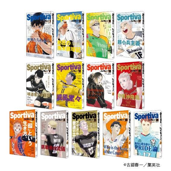 ハイキュー！！ショーセツバン！！ sportivaコラボ表紙 1-13巻セット