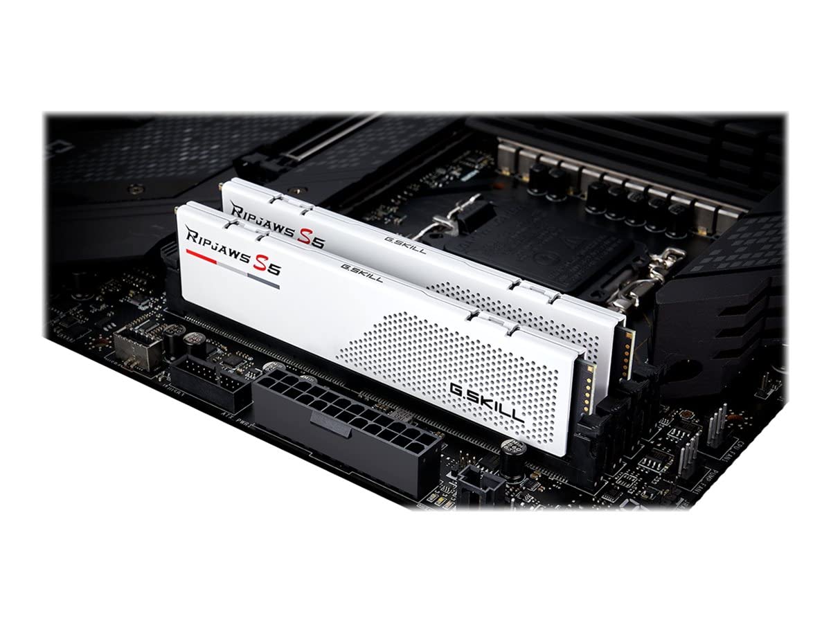 Amazon.co.jp: G.Skill Ripjaws S5 module de mémoire 32 Go 2 x 16 Go