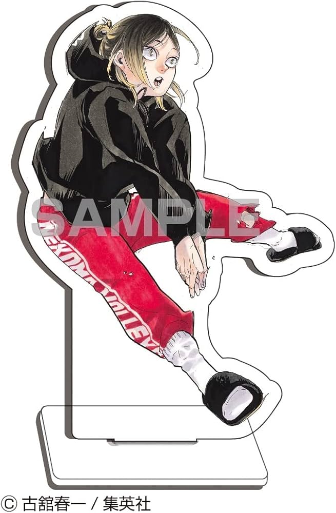 Amazon.co.jp: ハイキュー!! 10thクロニクル グッズ付き同梱版 (愛蔵版