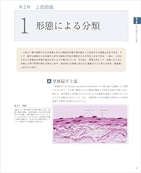 61QztbtSNUL._AC_UF350,